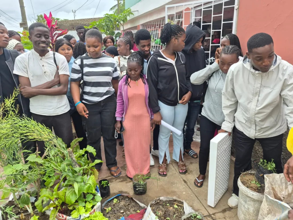 Practical youth capacity-building session