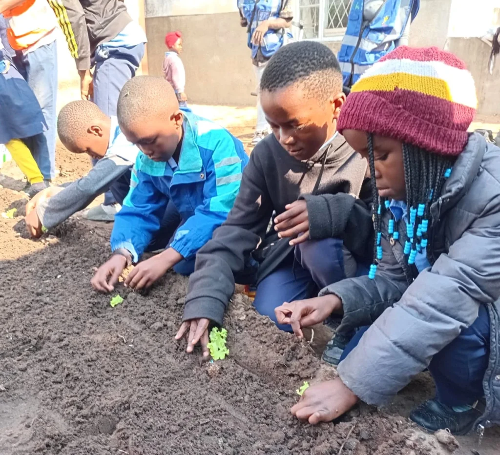 Children sowing seeds in a garden bed