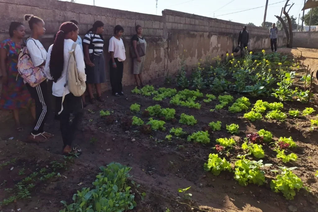 Young people beside vegetable beds