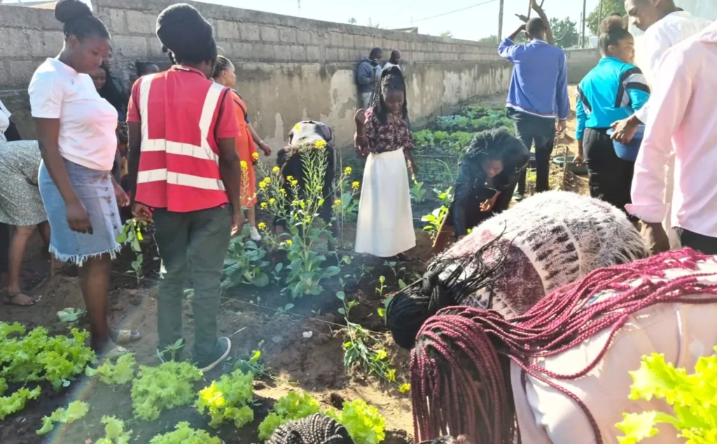 Young people working in a community vegetable garden