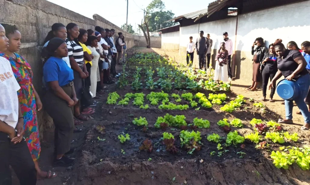 Young people along rows of vegetable beds