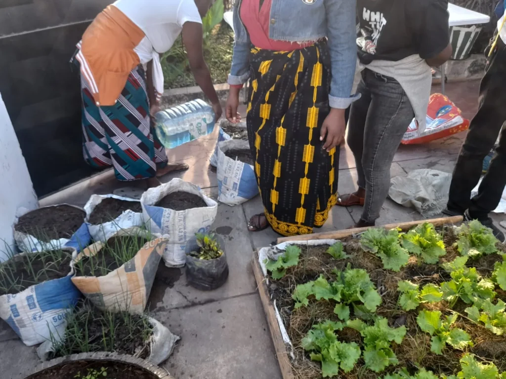 Participants preparing plants in growing bags